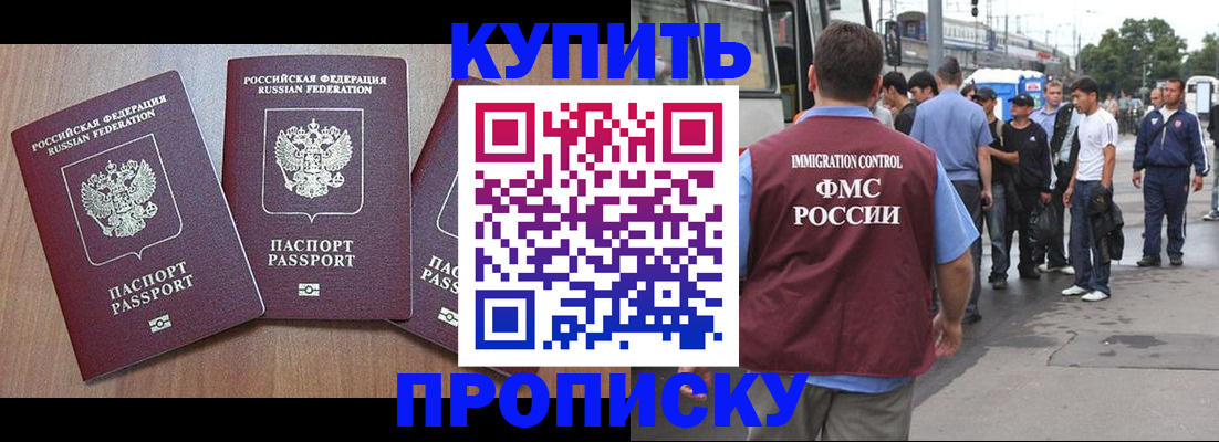 прописка 2025 в Северске
